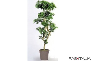 Podocarpus artificiale cm 180