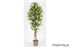 Dracena Artificiale variegata, foglie mini 150 cm